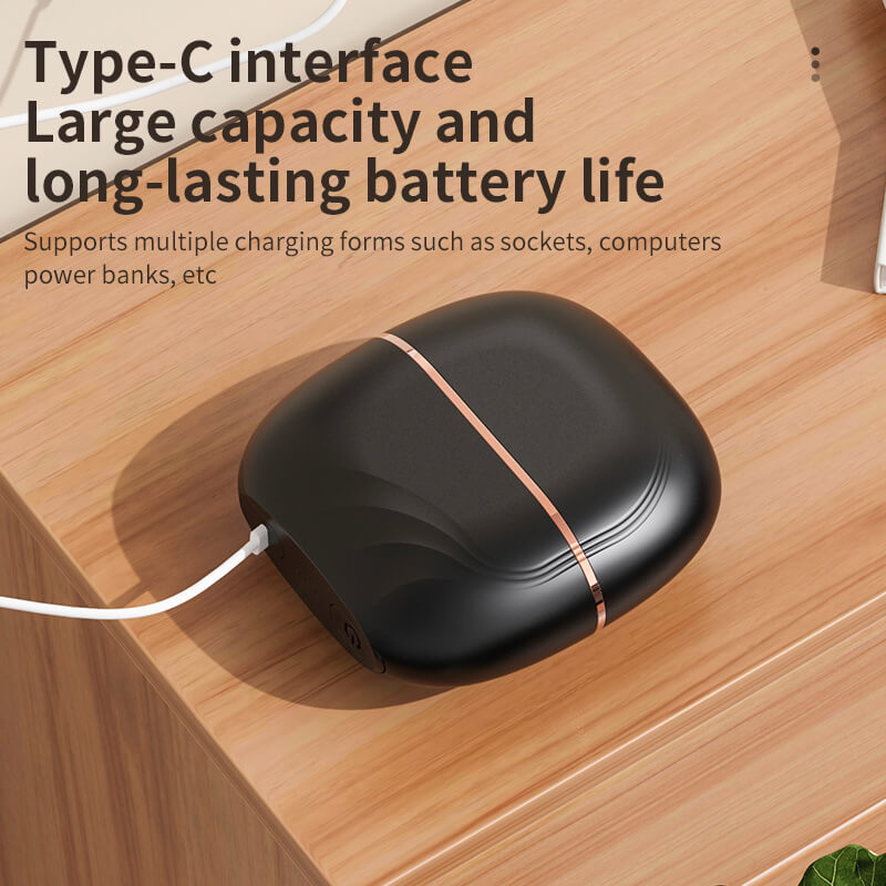 Mini Portable Hair Straightener